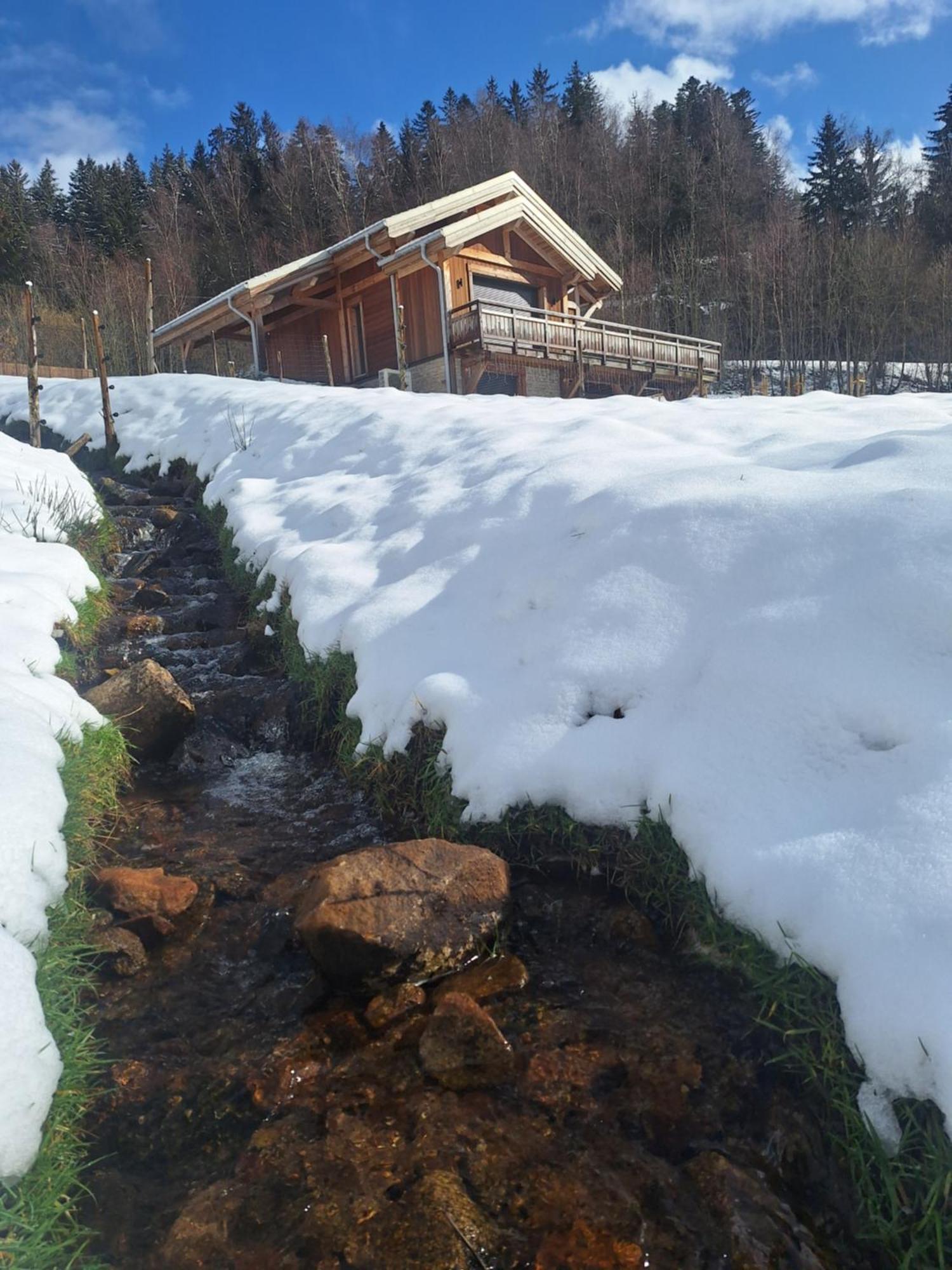 Chalet L'Appel De La Foret Gérardmer Exterior foto
